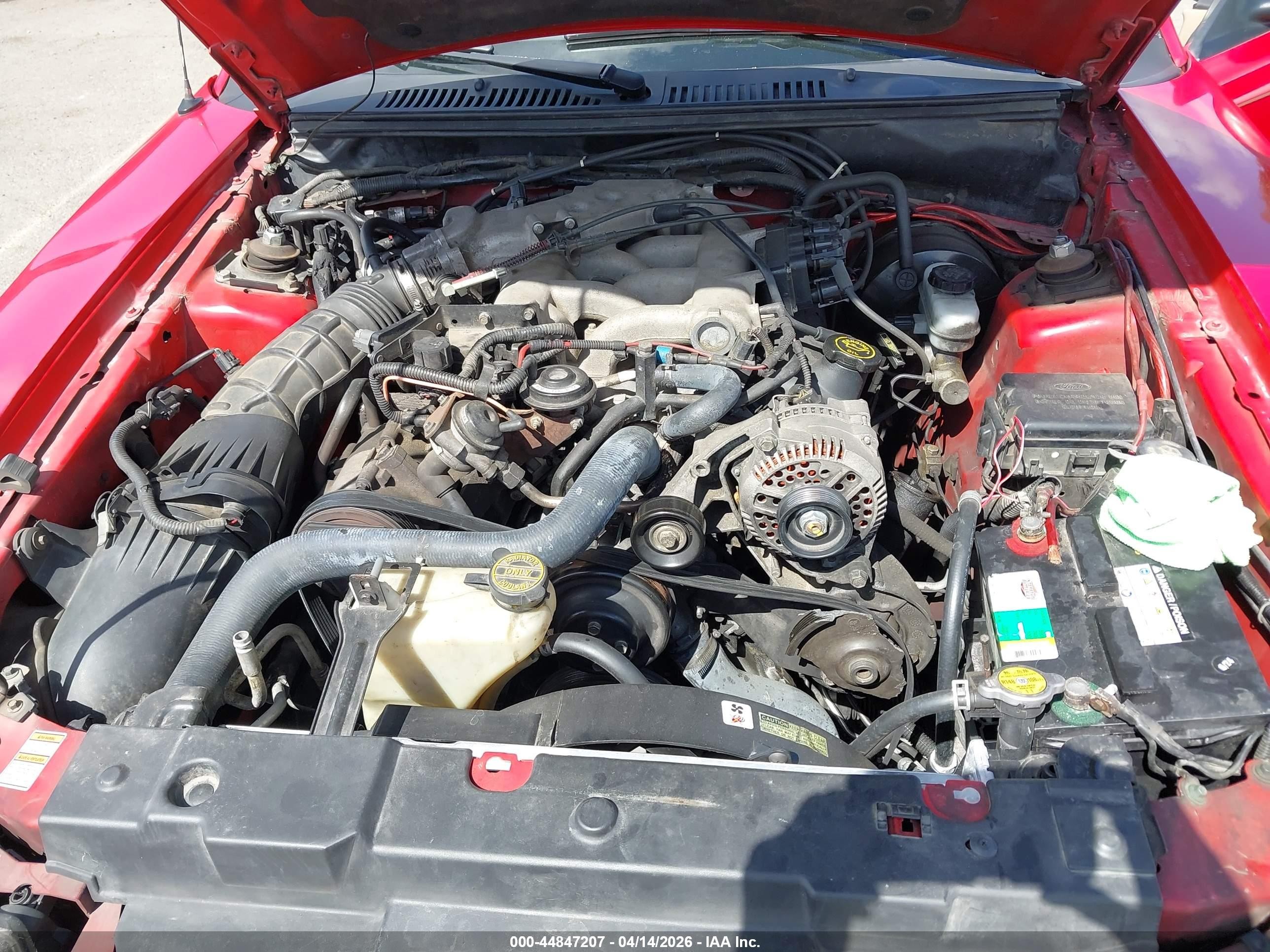 1999 Ford Mustang Красный vin: 1FAFP4449XF217117