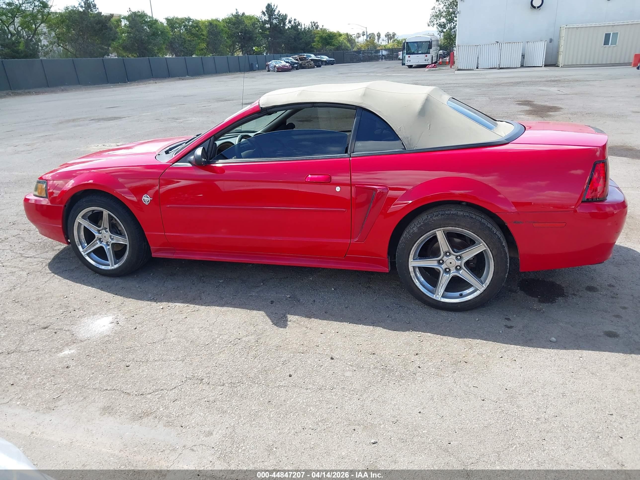 1999 Ford Mustang Красный vin: 1FAFP4449XF217117