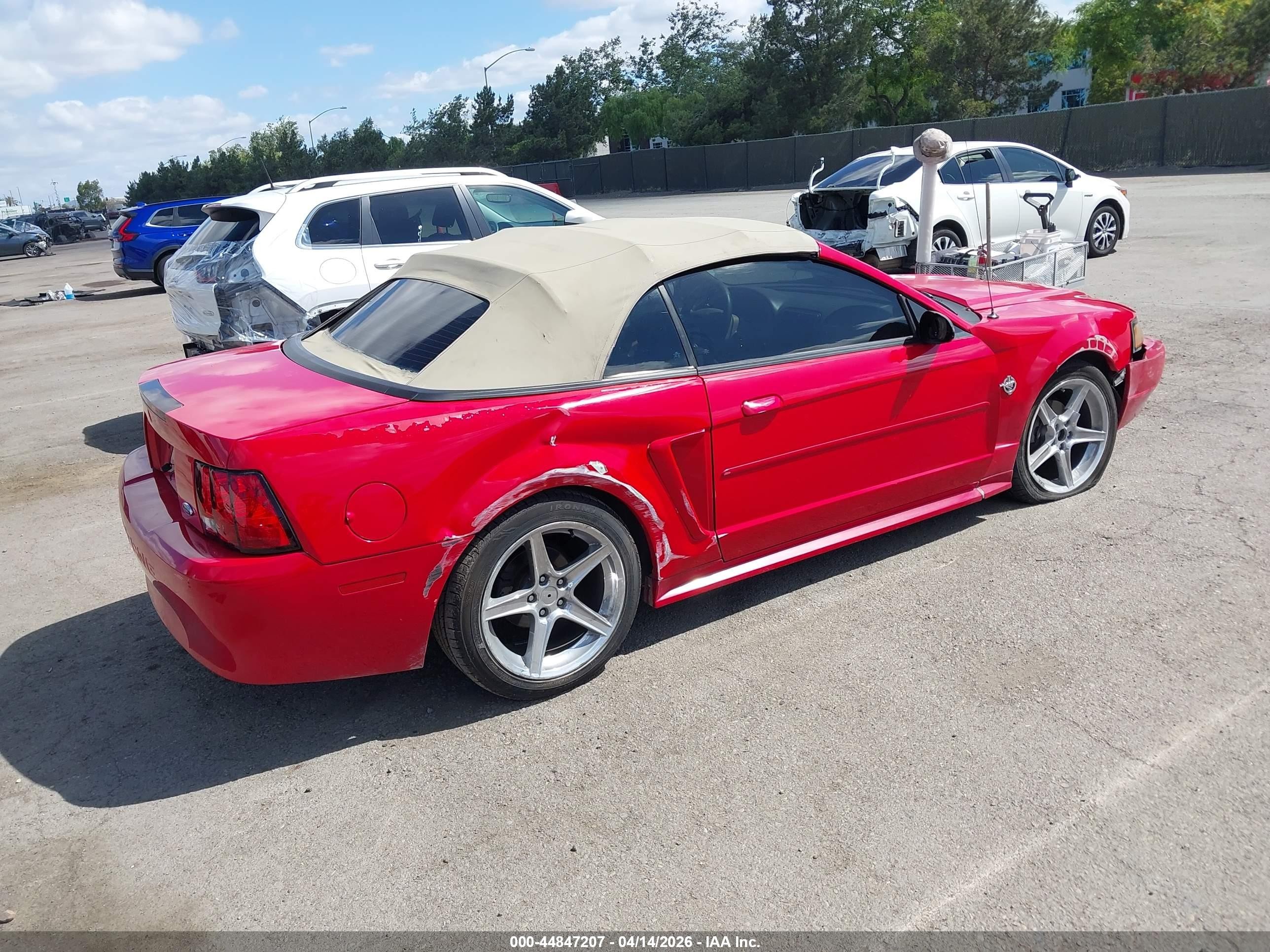 1999 Ford Mustang Красный vin: 1FAFP4449XF217117