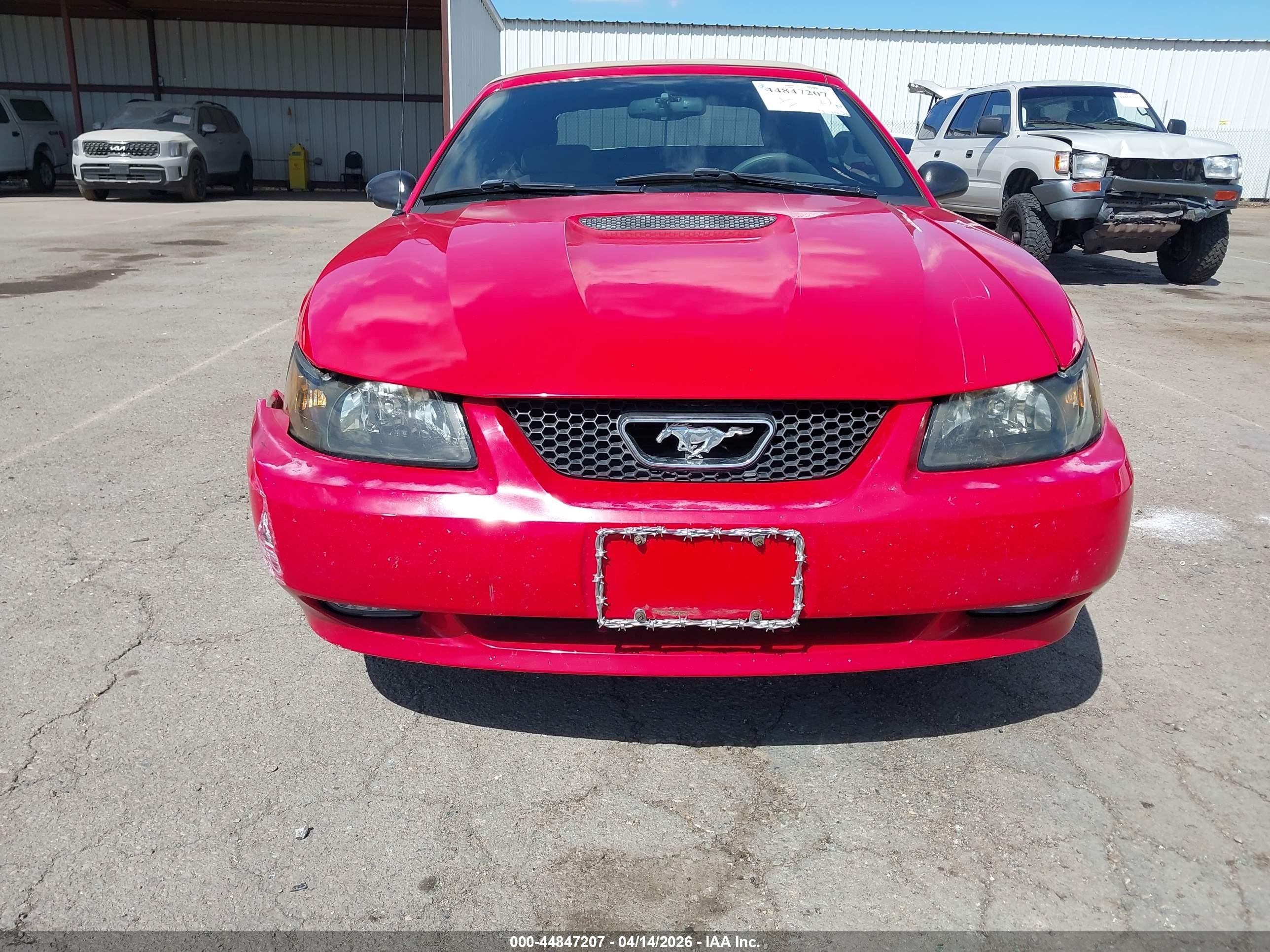 1999 Ford Mustang Красный vin: 1FAFP4449XF217117