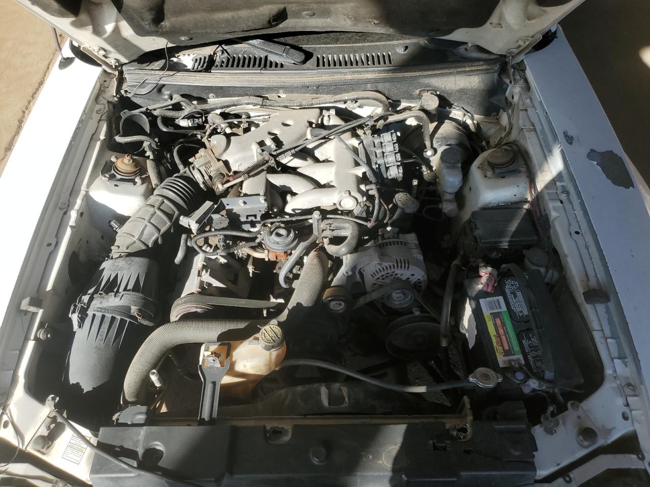1995 Ford Mustang Белый vin: 1FAFP4449YF133140