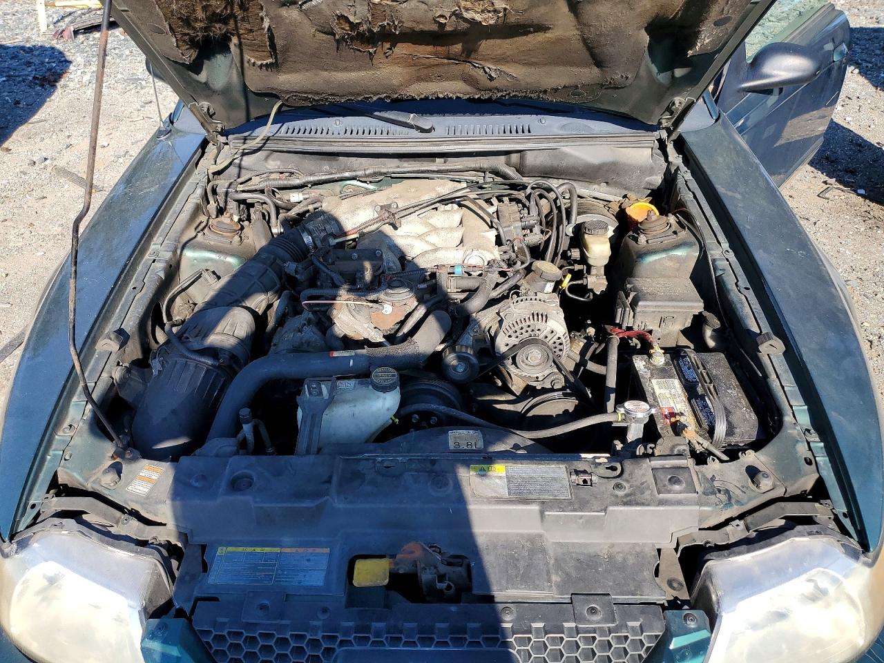 2000 Ford Mustang Green vin: 1FAFP4449YF308860