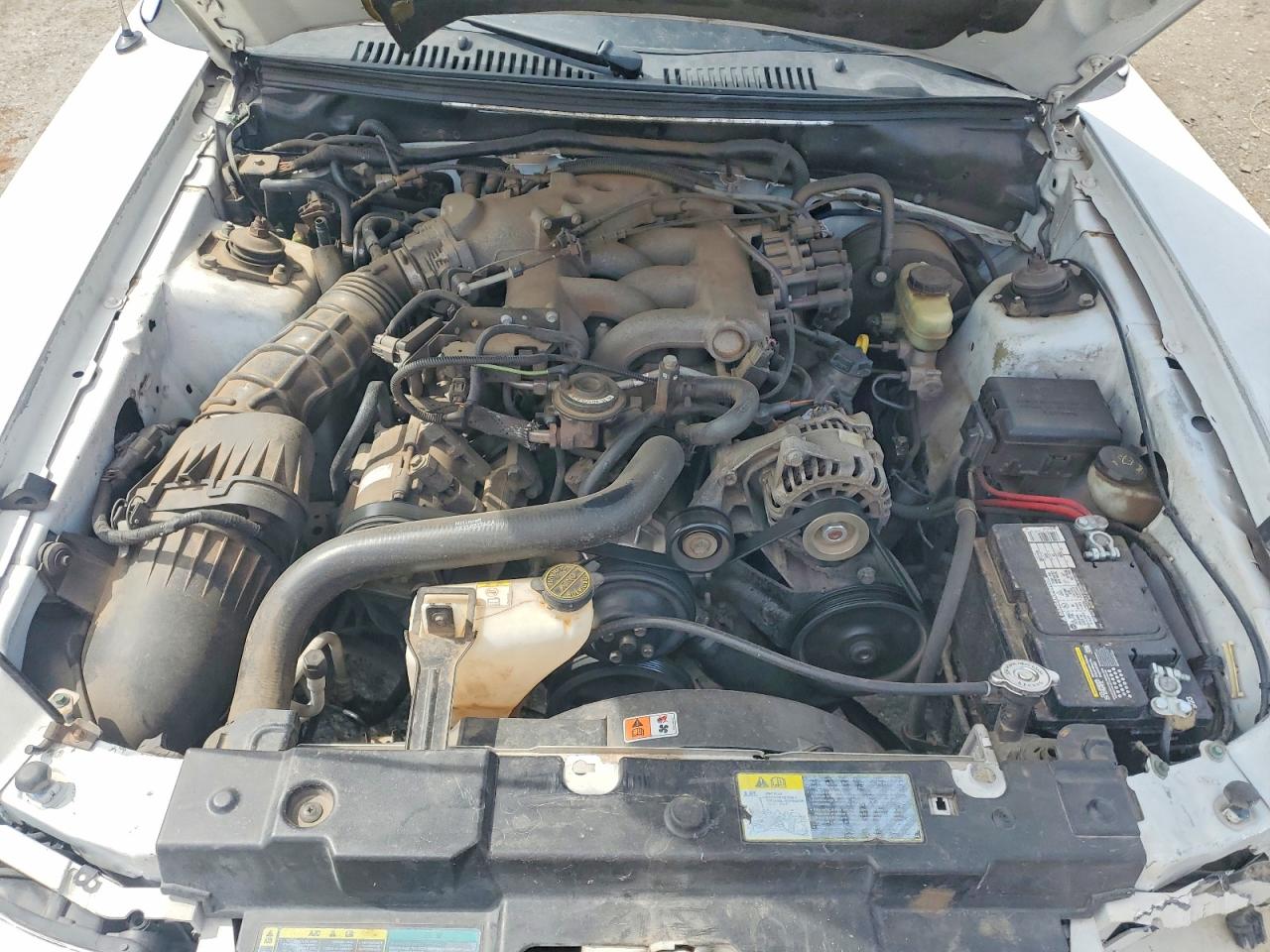 2004 Ford Mustang White vin: 1FAFP444X4F113568