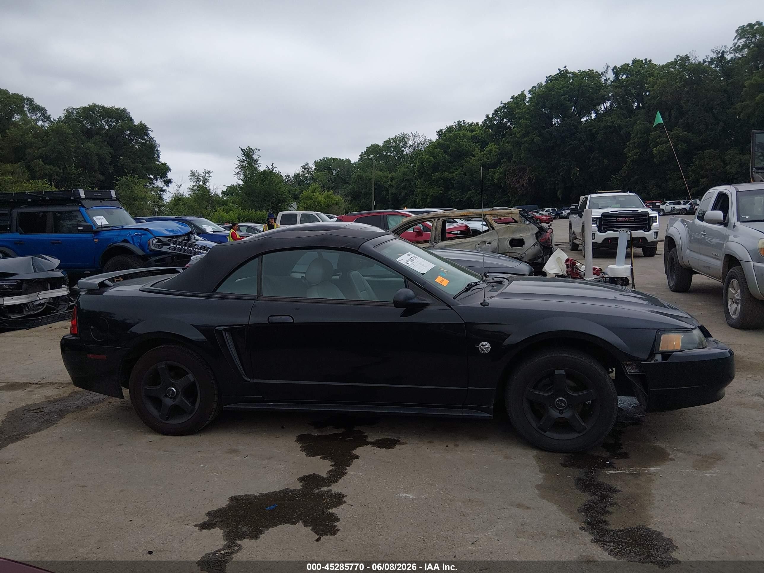 2004 Ford Mustang   Black vin: 1FAFP444X4F117572