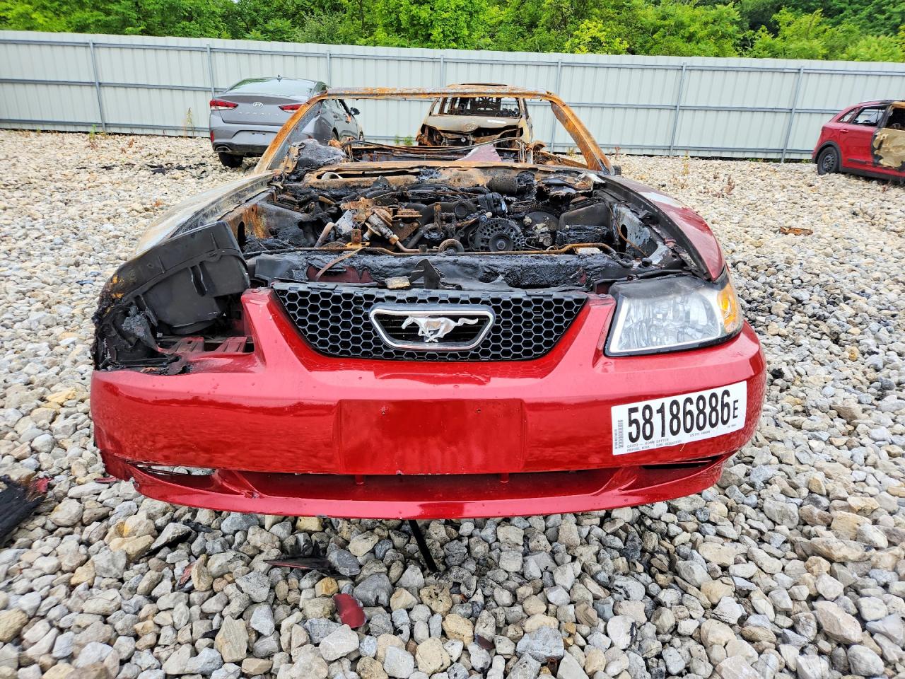 1999 Ford Mustang Red vin: 1FAFP444XXF196844