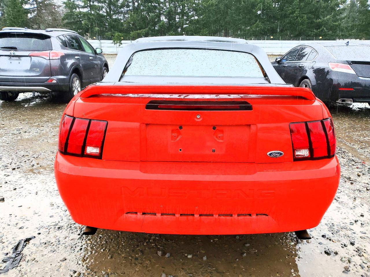 2000 Ford Mustang Red vin: 1FAFP444XYF122194
