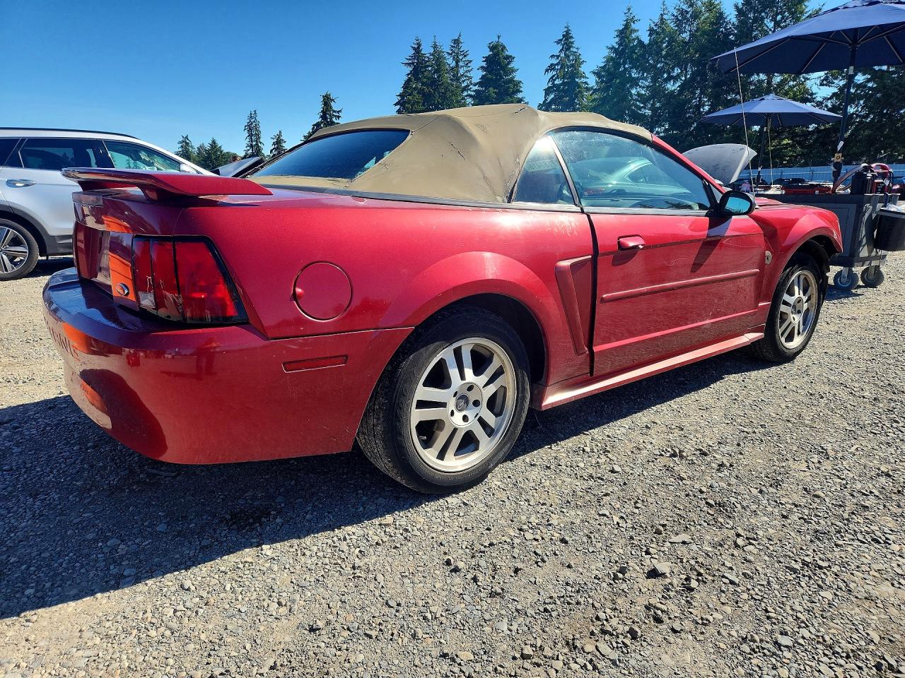 2004 Ford Mustang Burgundy vin: 1FAFP44604F154650