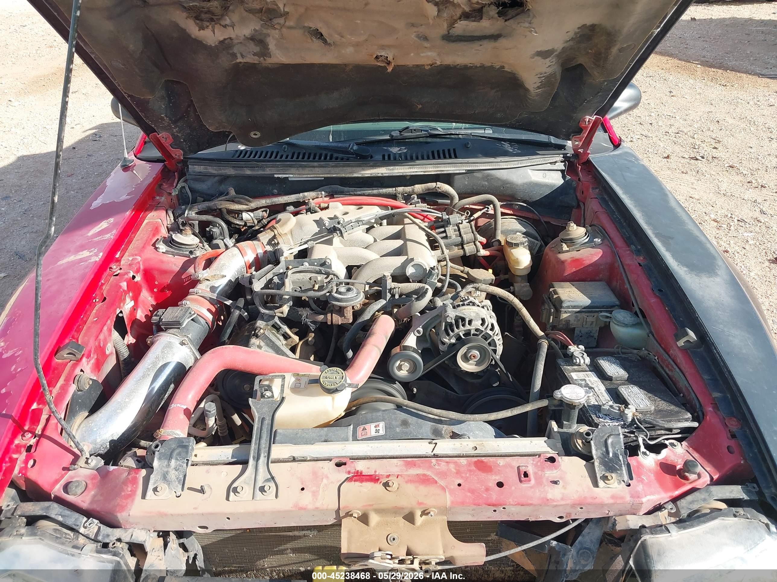 2004 Ford Mustang   Red vin: 1FAFP44644F140508
