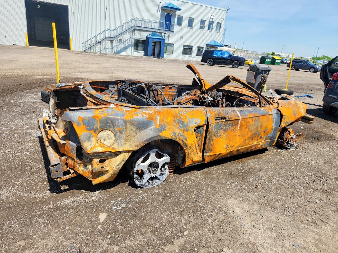 2004 Ford Mustang Burn vin: 1FAFP44644F236395
