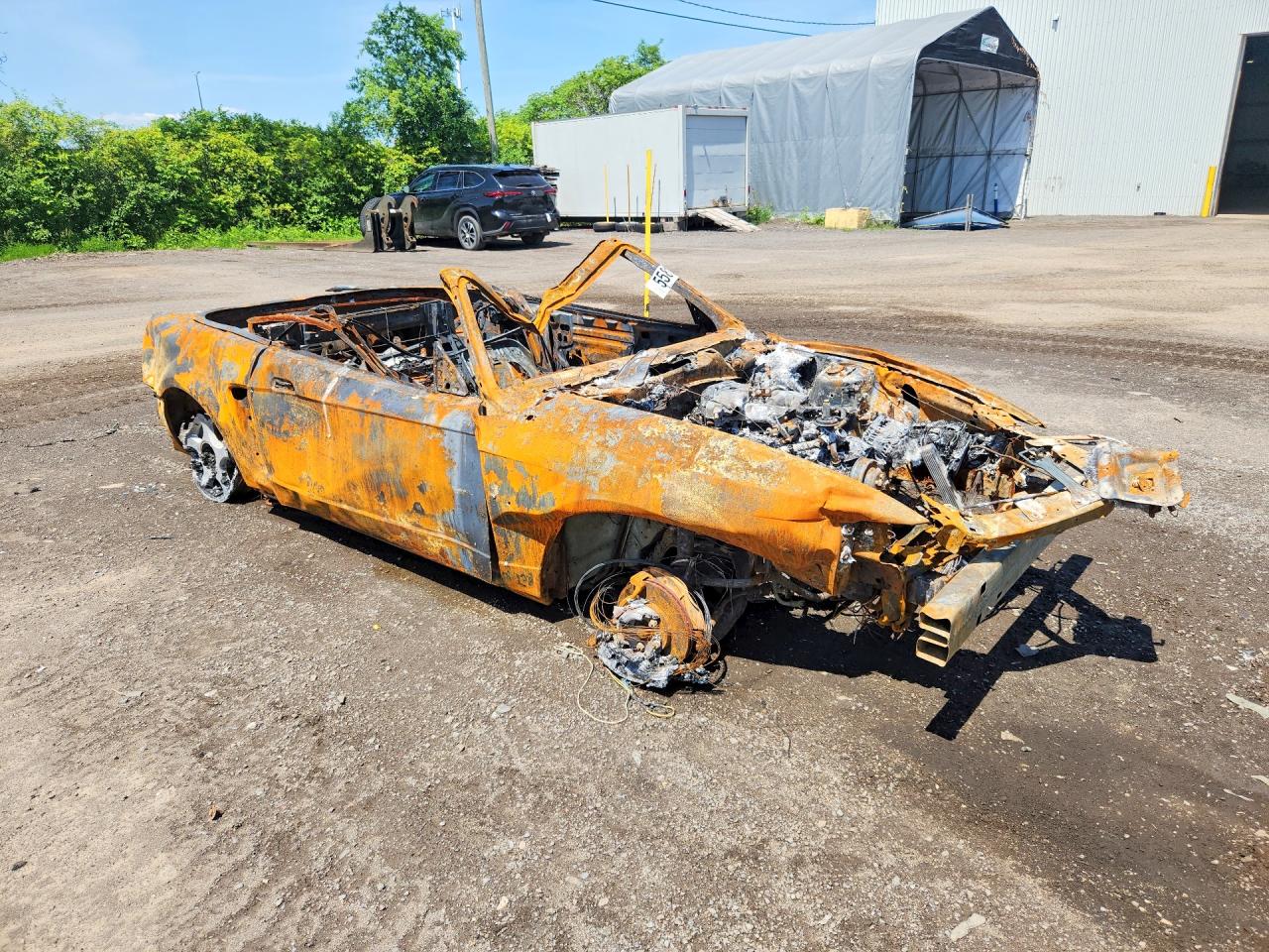 2004 Ford Mustang Burn vin: 1FAFP44644F236395