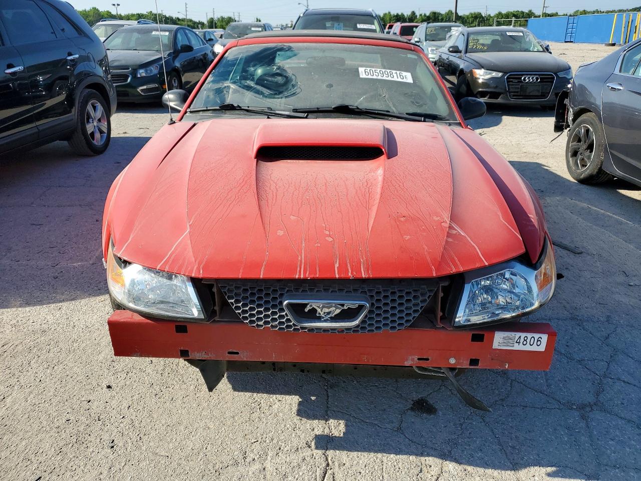 2004 Ford Mustang Red vin: 1FAFP44654F138573