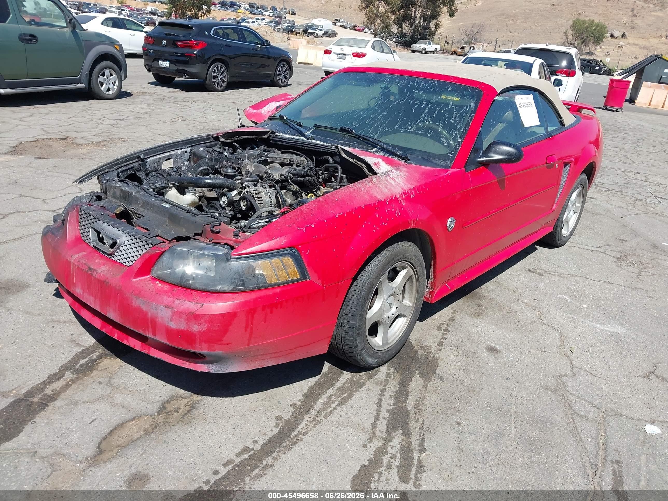 2004 Ford Mustang   Red vin: 1FAFP44654F206998