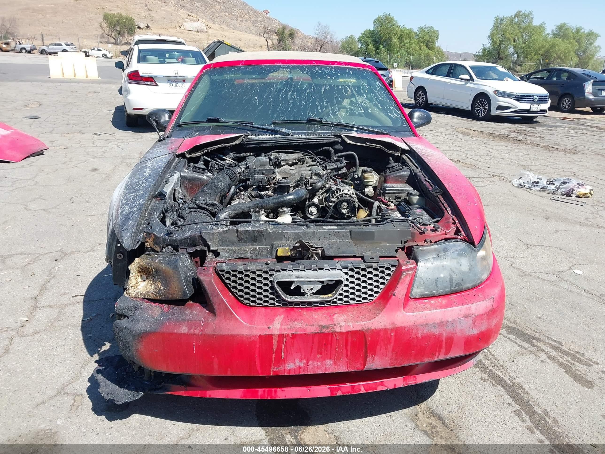 2004 Ford Mustang   Red vin: 1FAFP44654F206998