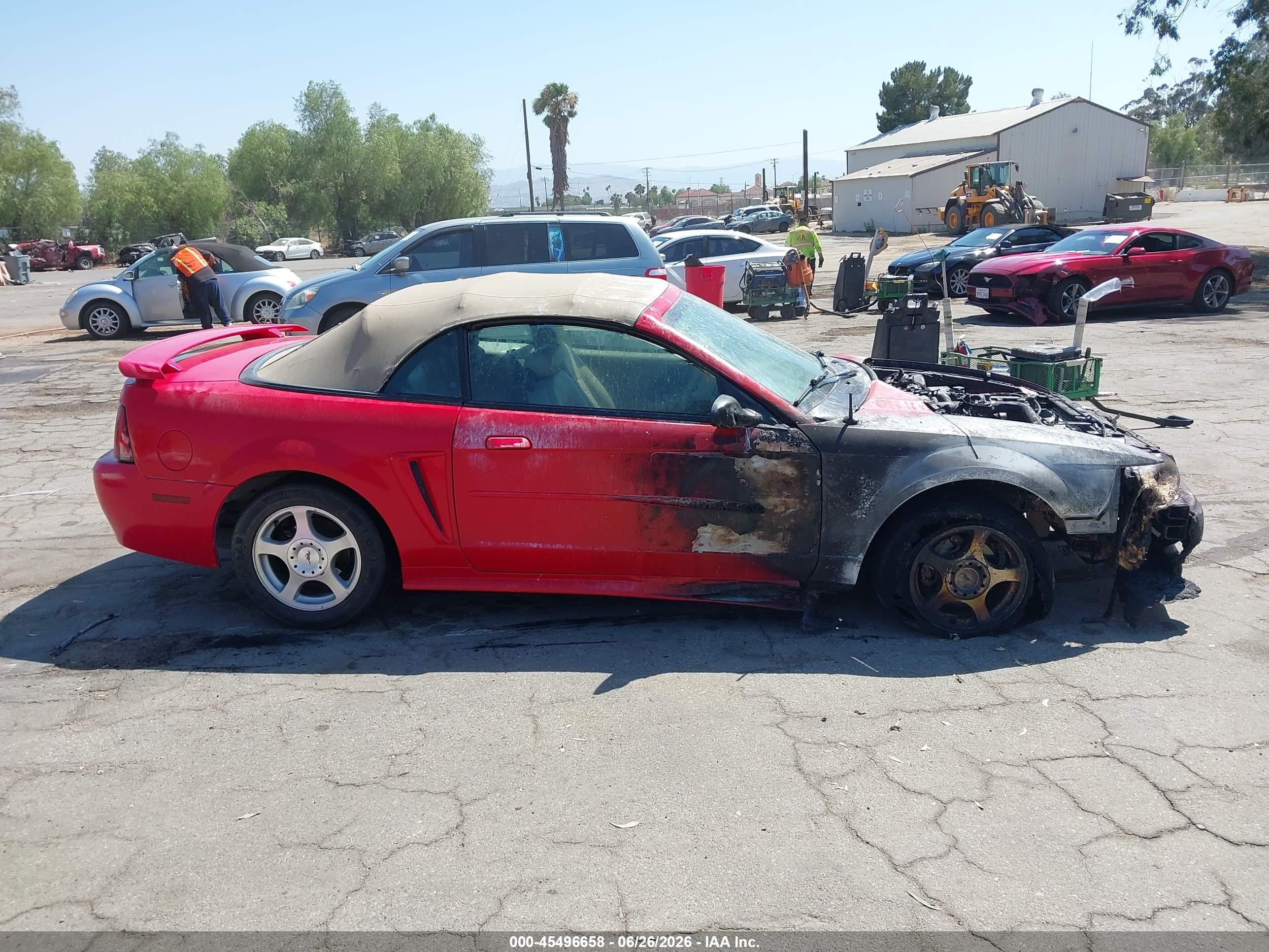2004 Ford Mustang   Red vin: 1FAFP44654F206998