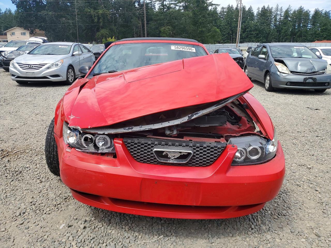 2004 Ford Mustang Red vin: 1FAFP44654F230556
