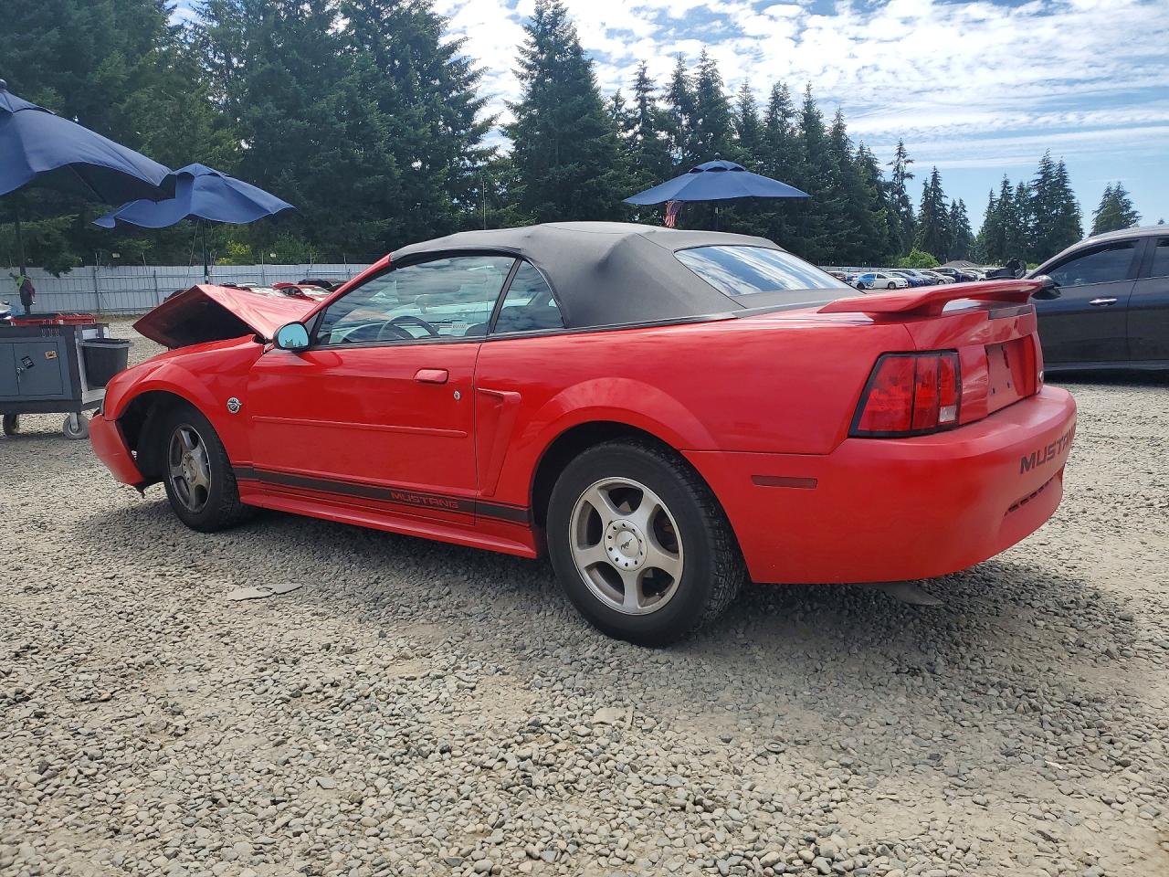 2004 Ford Mustang Red vin: 1FAFP44654F230556