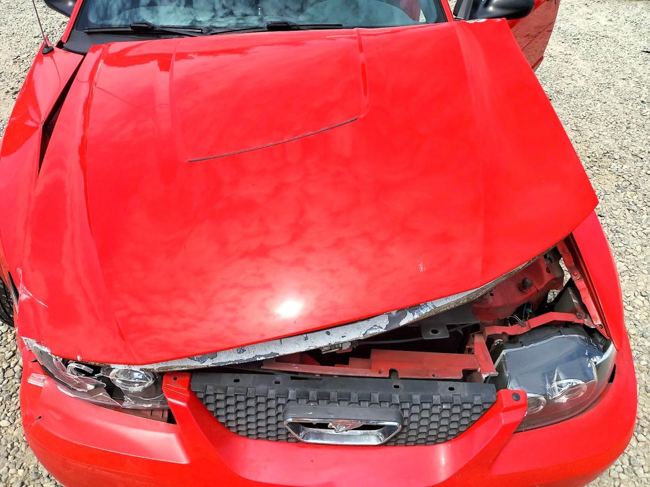 2004 Ford Mustang Red vin: 1FAFP44654F230556