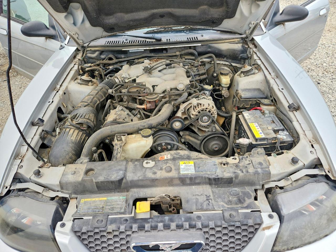 2004 Ford Mustang Silver vin: 1FAFP44664F138470