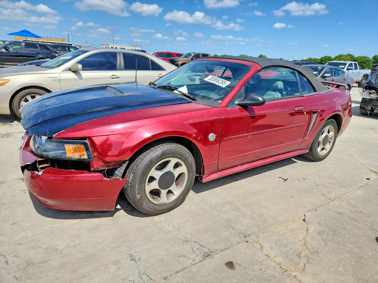 2004 Ford Mustang Red vin: 1FAFP44664F204788