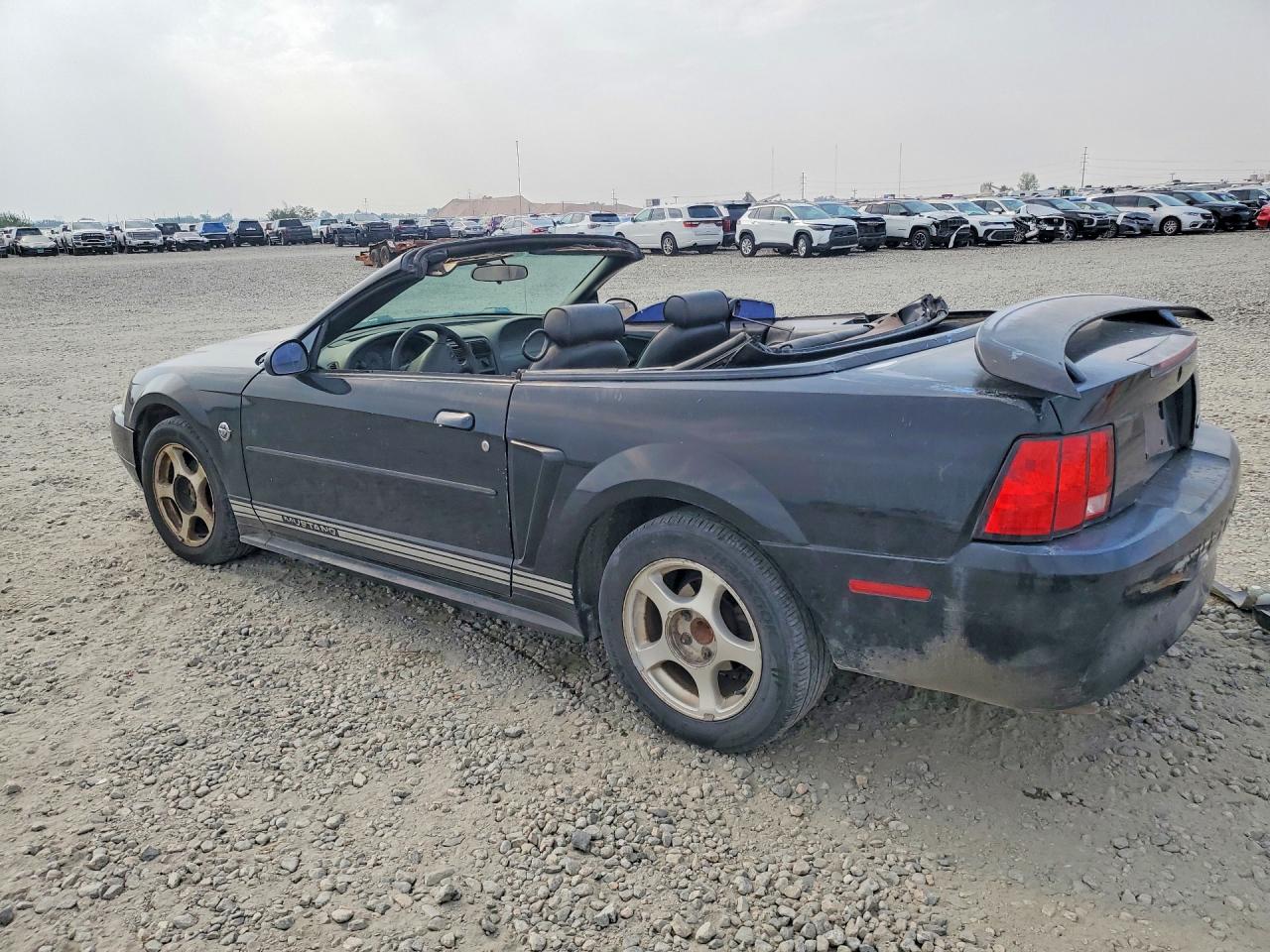 2004 Ford Mustang Черный vin: 1FAFP44684F179263