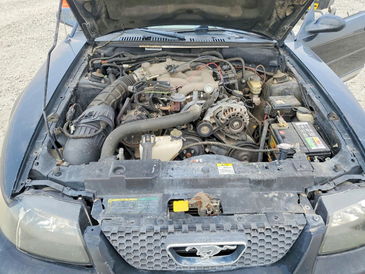 2004 Ford Mustang Черный vin: 1FAFP44684F179263