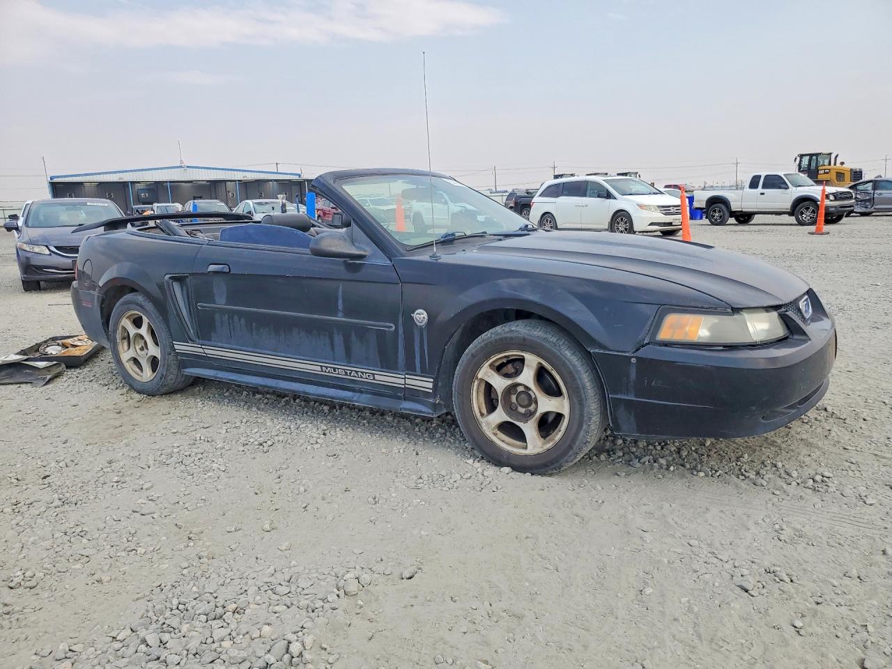 2004 Ford Mustang Черный vin: 1FAFP44684F179263