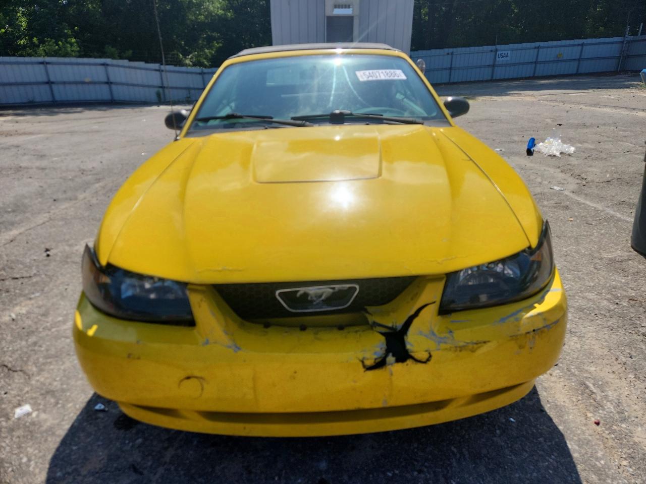 2004 Ford Mustang Yellow vin: 1FAFP446X4F141372