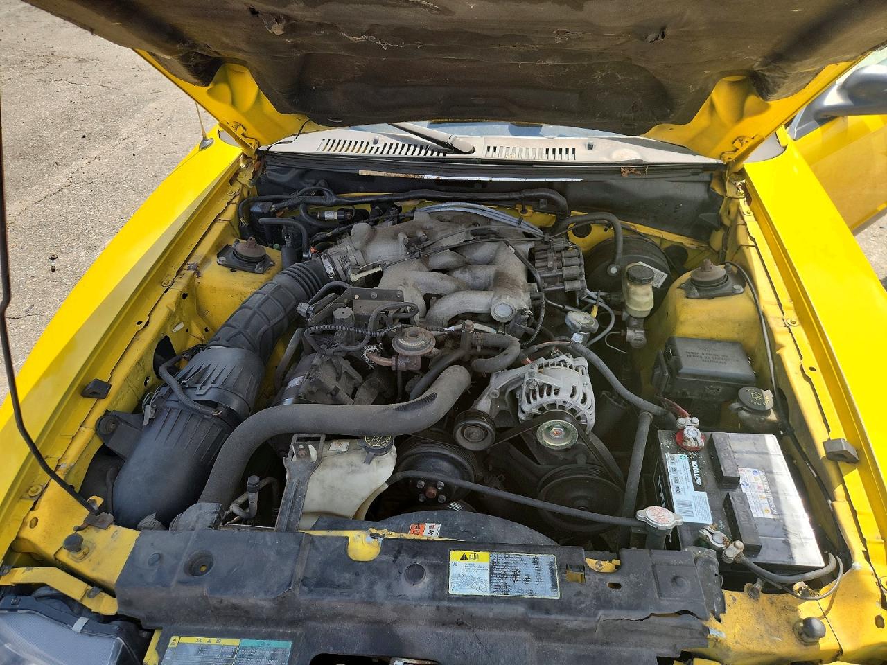 2004 Ford Mustang Yellow vin: 1FAFP446X4F141372