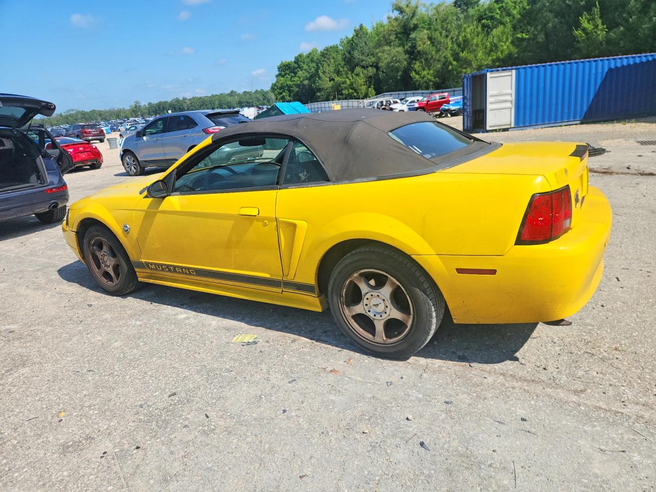 2004 Ford Mustang Yellow vin: 1FAFP446X4F141372