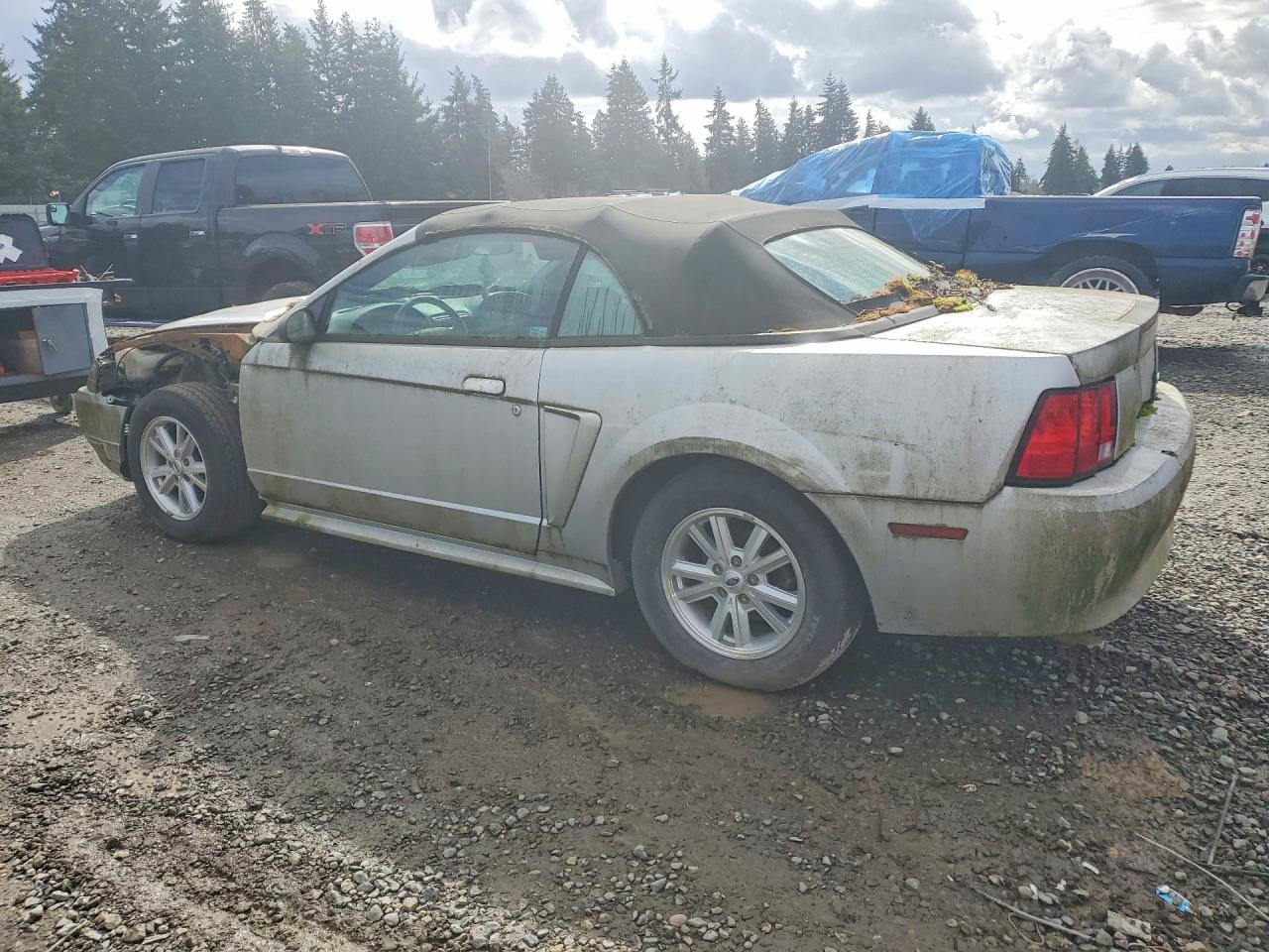 2004 Ford Mustang Silver vin: 1FAFP446X4F216359