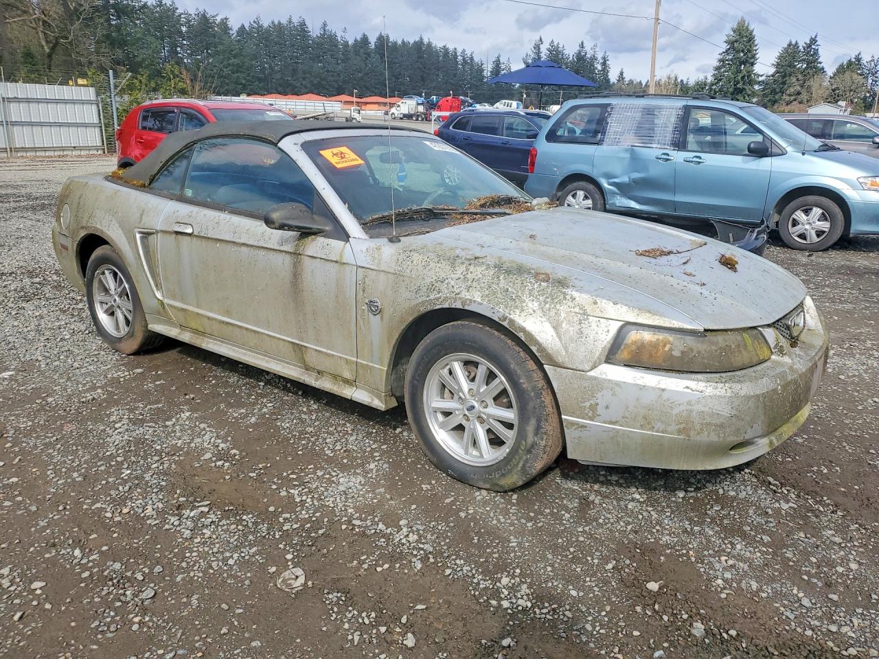 2004 Ford Mustang Silver vin: 1FAFP446X4F216359