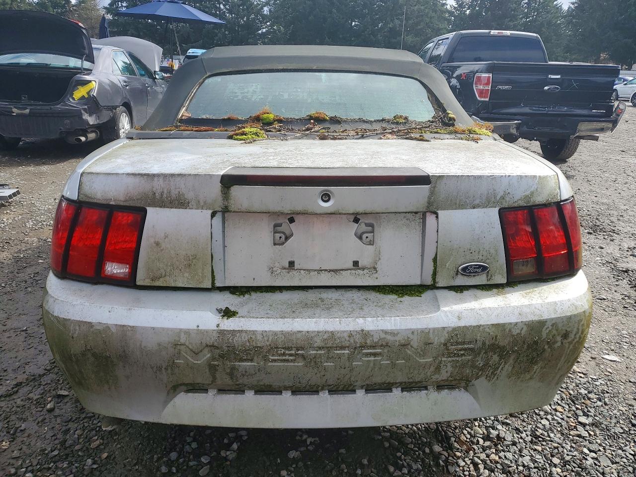 2004 Ford Mustang Silver vin: 1FAFP446X4F216359