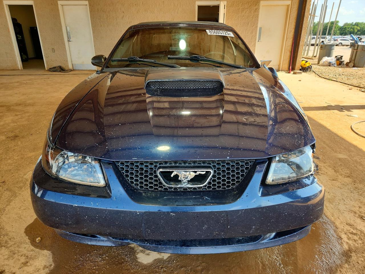 2003 Ford Mustang Gt Blue vin: 1FAFP45X03F368690
