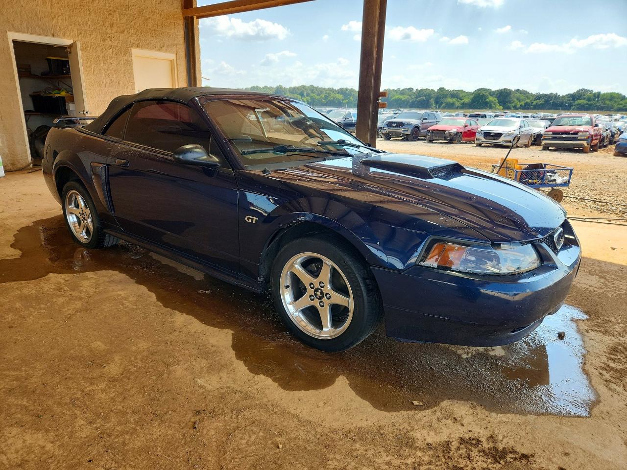 2003 Ford Mustang Gt Blue vin: 1FAFP45X03F368690