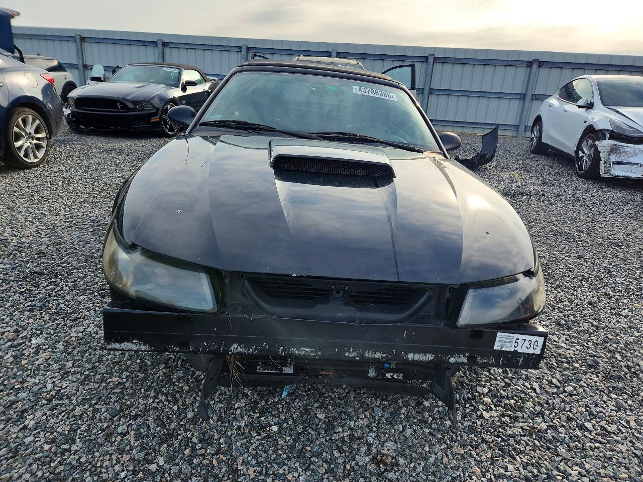 2001 Ford Mustang Gt Black vin: 1FAFP45X11F126679