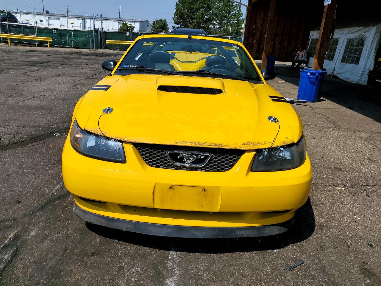 2004 Ford Mustang Gt Yellow vin: 1FAFP45X14F189320