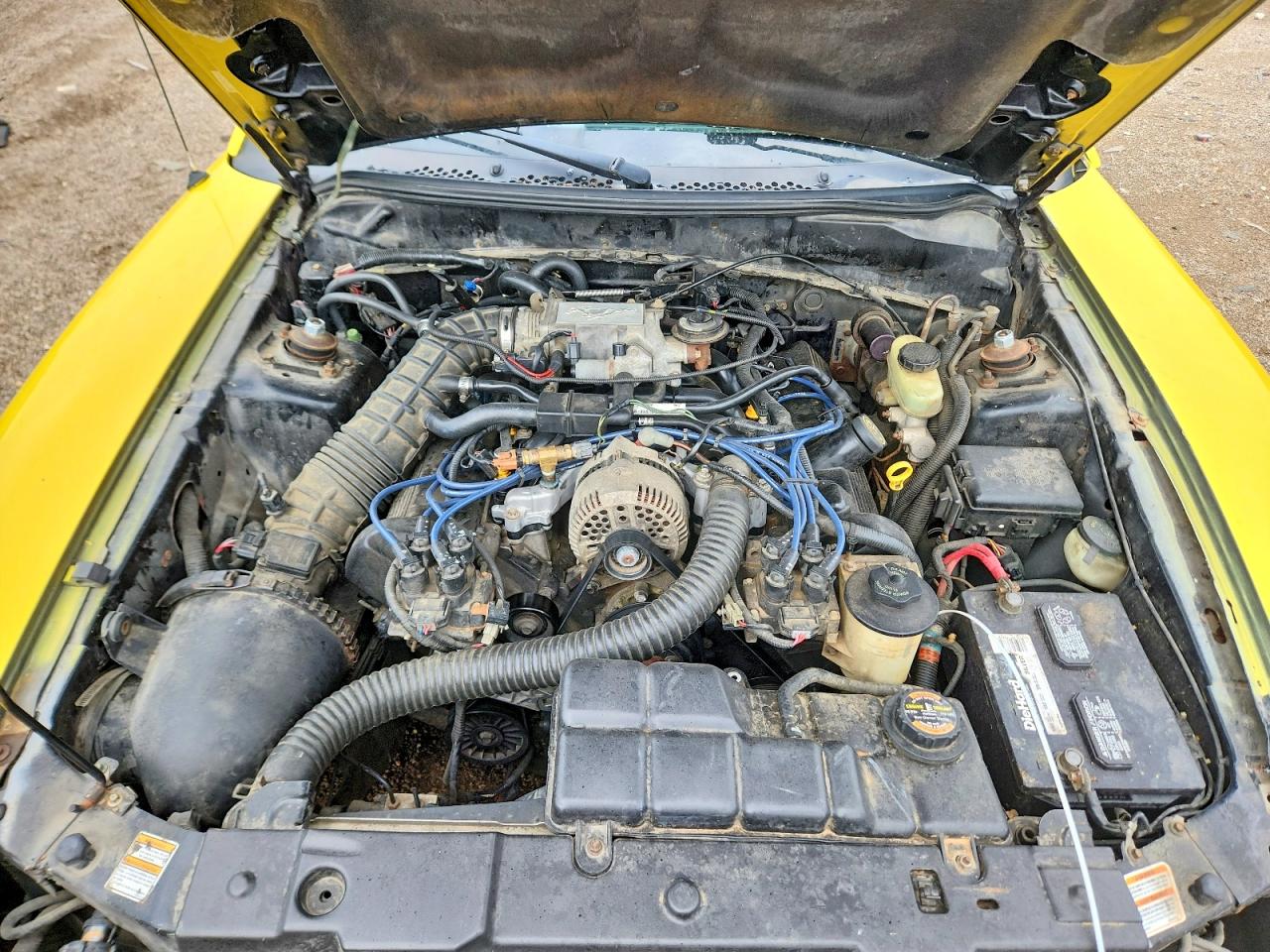 1998 Ford Mustang Gt Yellow vin: 1FAFP45X1WF240463