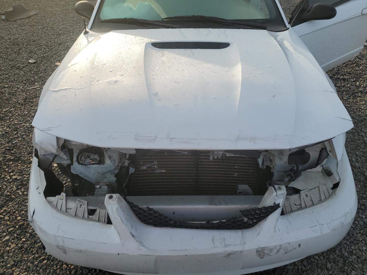 2000 Ford Mustang Gt White vin: 1FAFP45X1YF128118