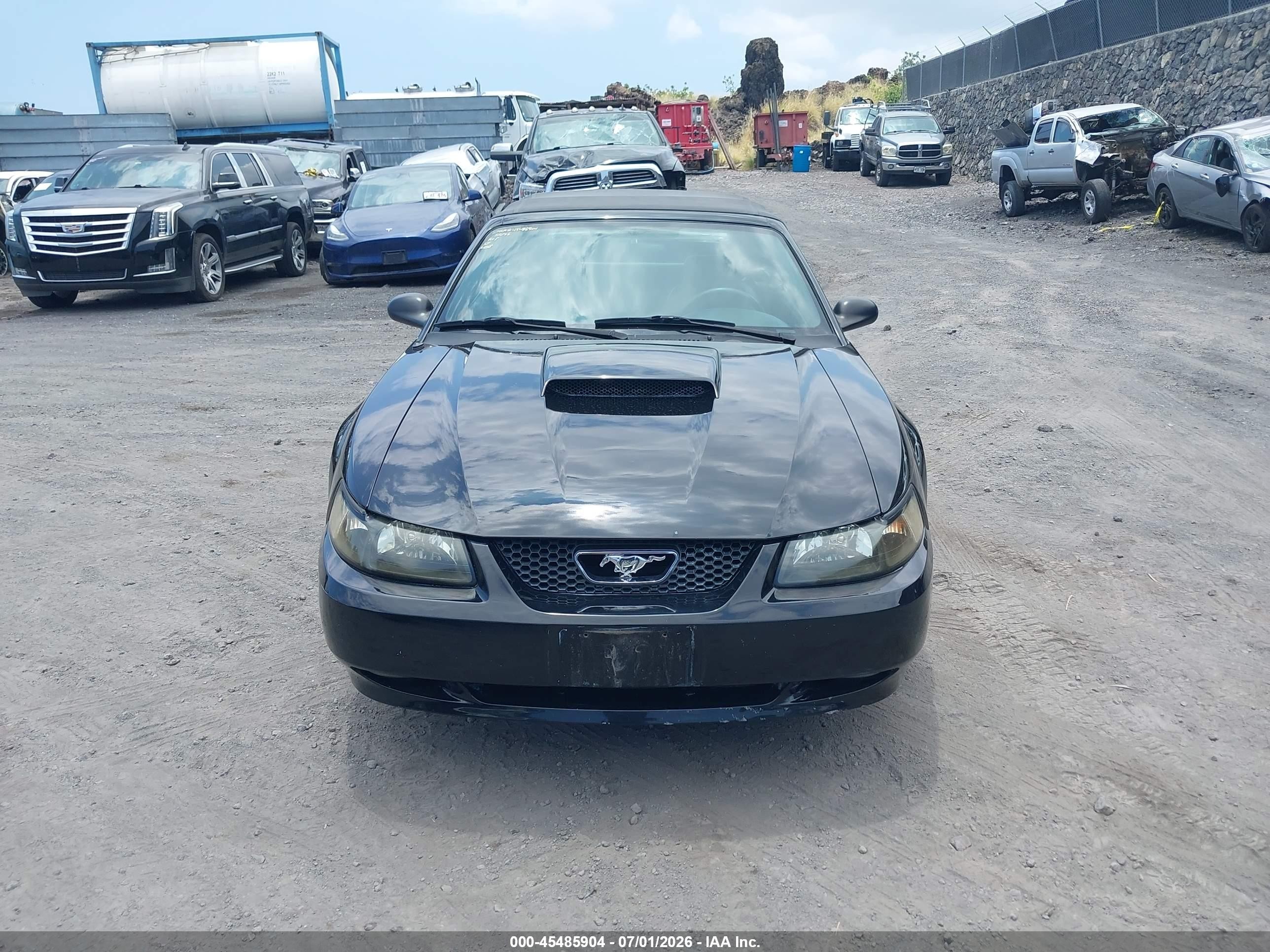 2001 Ford Mustang Gt Black vin: 1FAFP45X31F246967