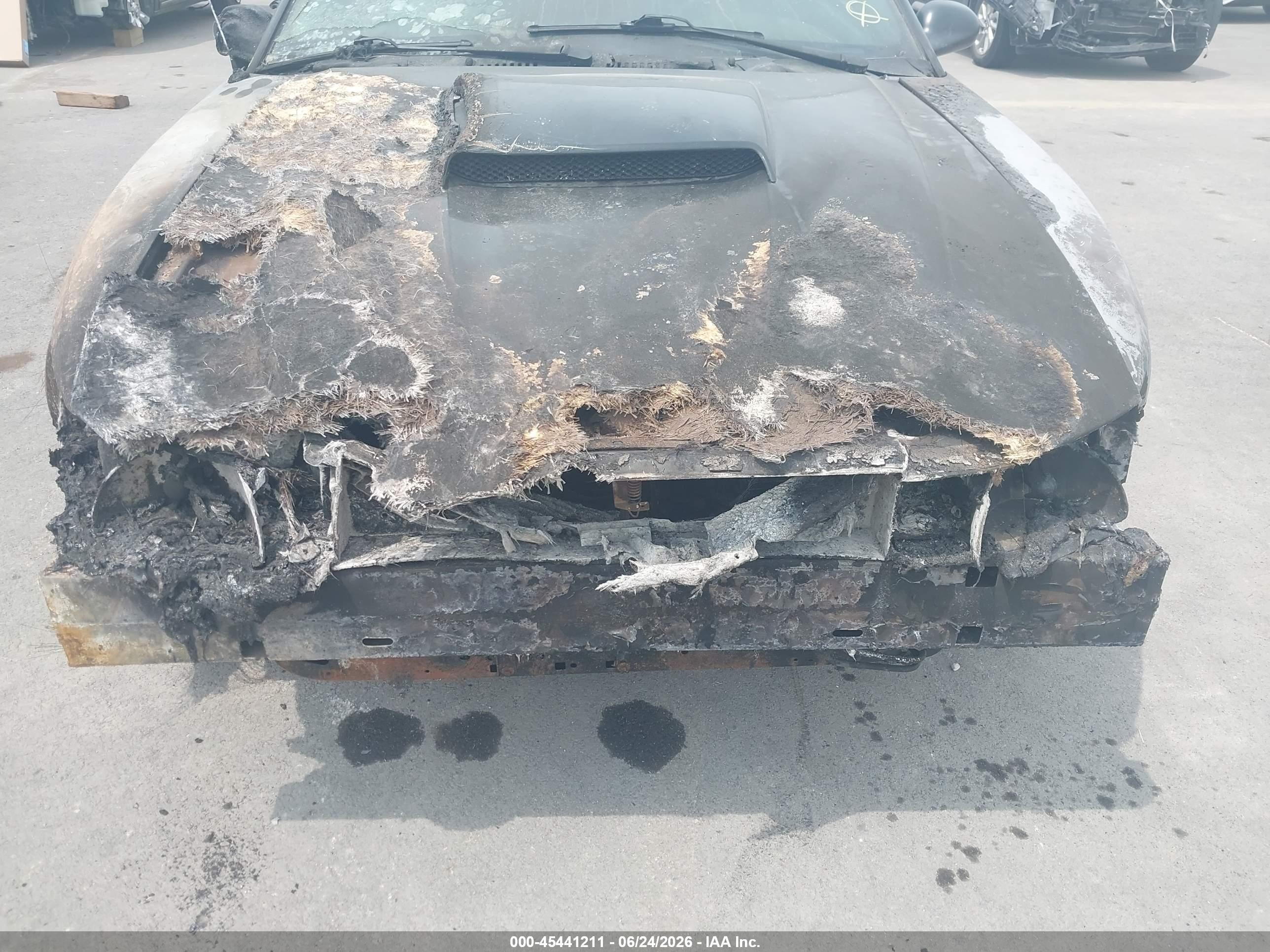2004 Ford Mustang Gt Черный vin: 1FAFP45X34F178741