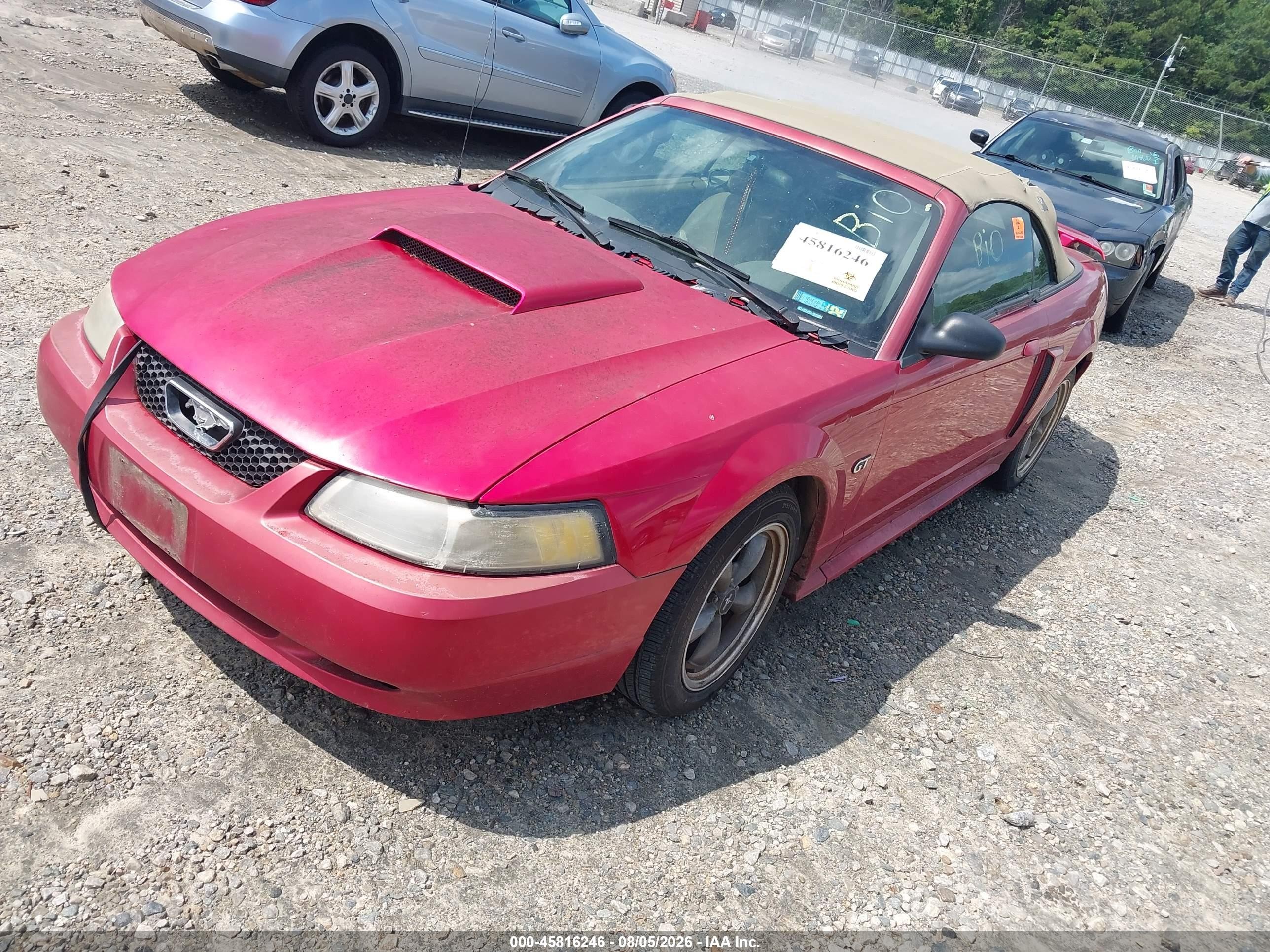 2001 Ford Mustang Gt Burgundy vin: 1FAFP45X41F129172