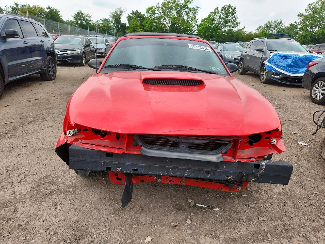 2003 Ford Mustang Gt Red vin: 1FAFP45X43F406230