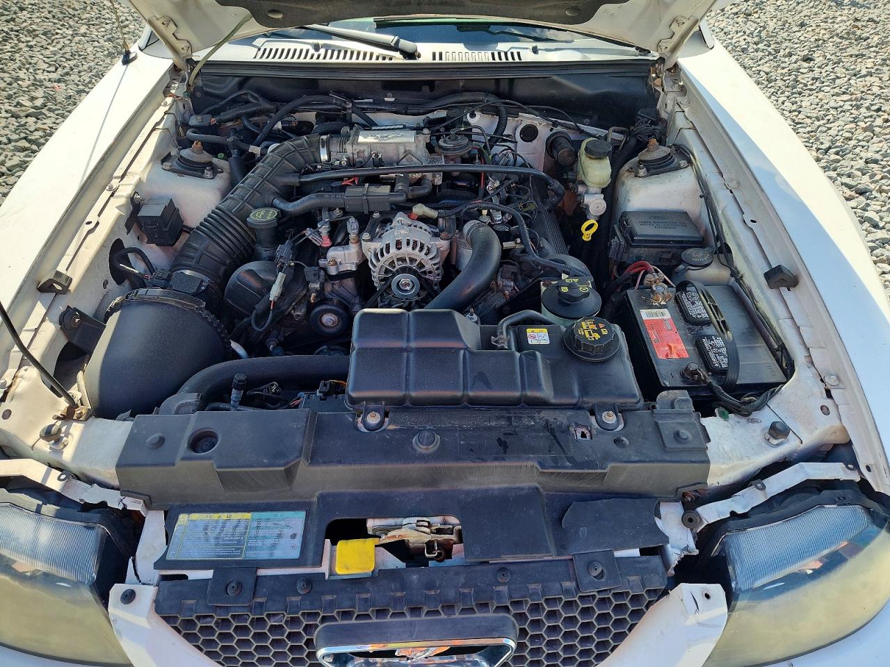 2004 Ford Mustang Gt White vin: 1FAFP45X44F119049