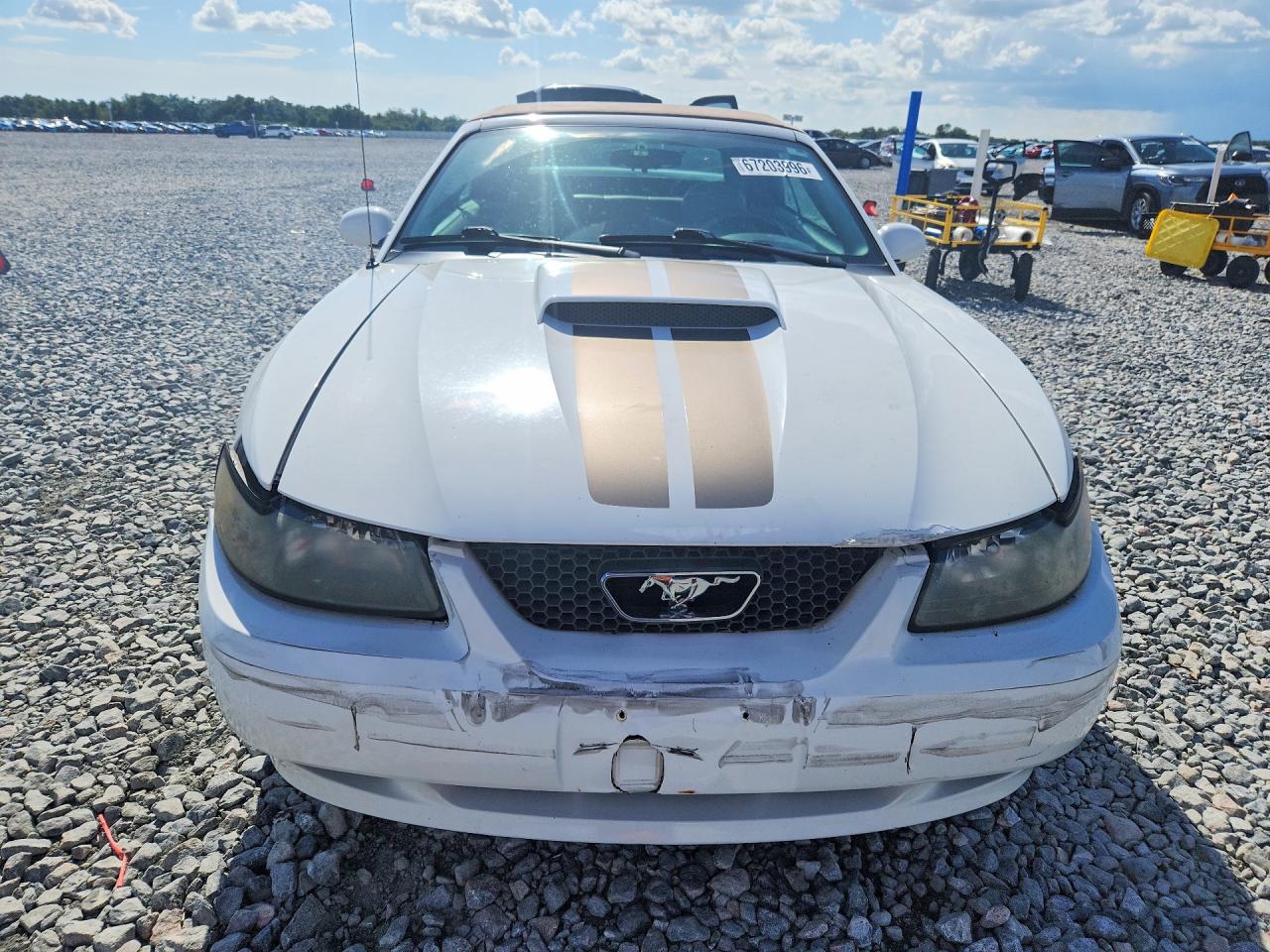 2004 Ford Mustang Gt White vin: 1FAFP45X44F119049