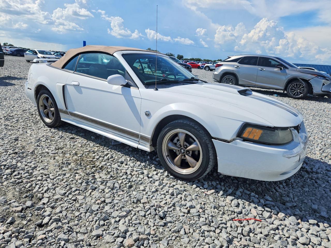 2004 Ford Mustang Gt White vin: 1FAFP45X44F119049