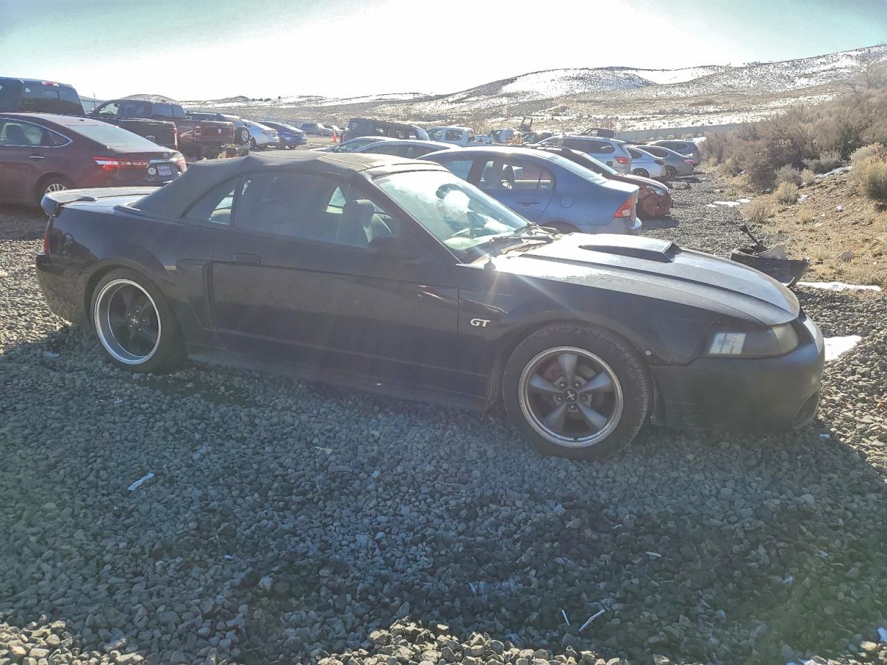 2001 Ford Mustang Gt Black vin: 1FAFP45X51F124658