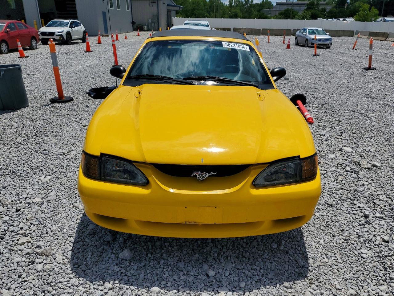 1998 Ford Mustang Gt Yellow vin: 1FAFP45X5WF195544