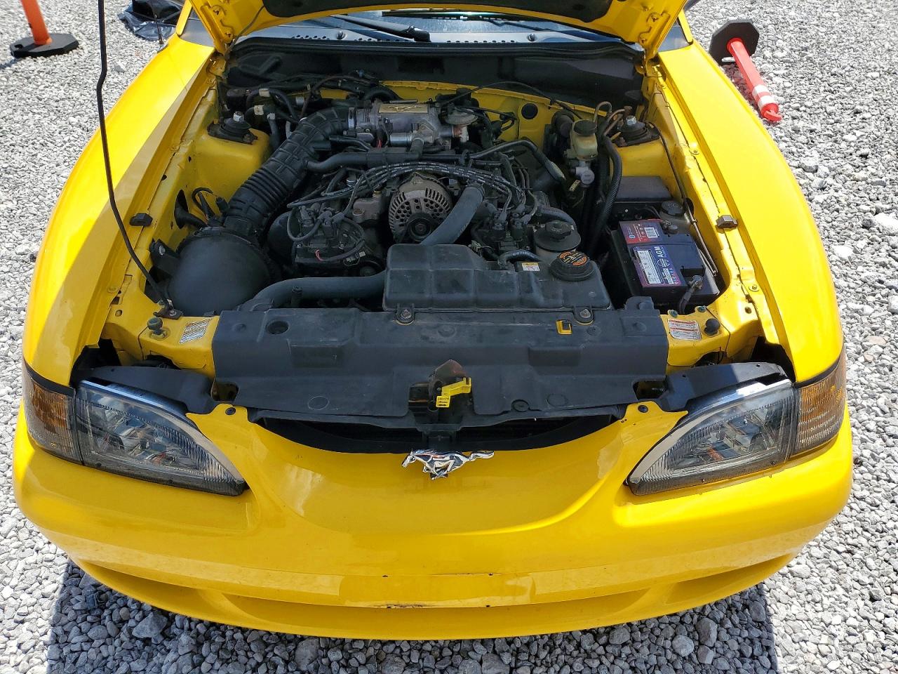 1998 Ford Mustang Gt Yellow vin: 1FAFP45X5WF195544