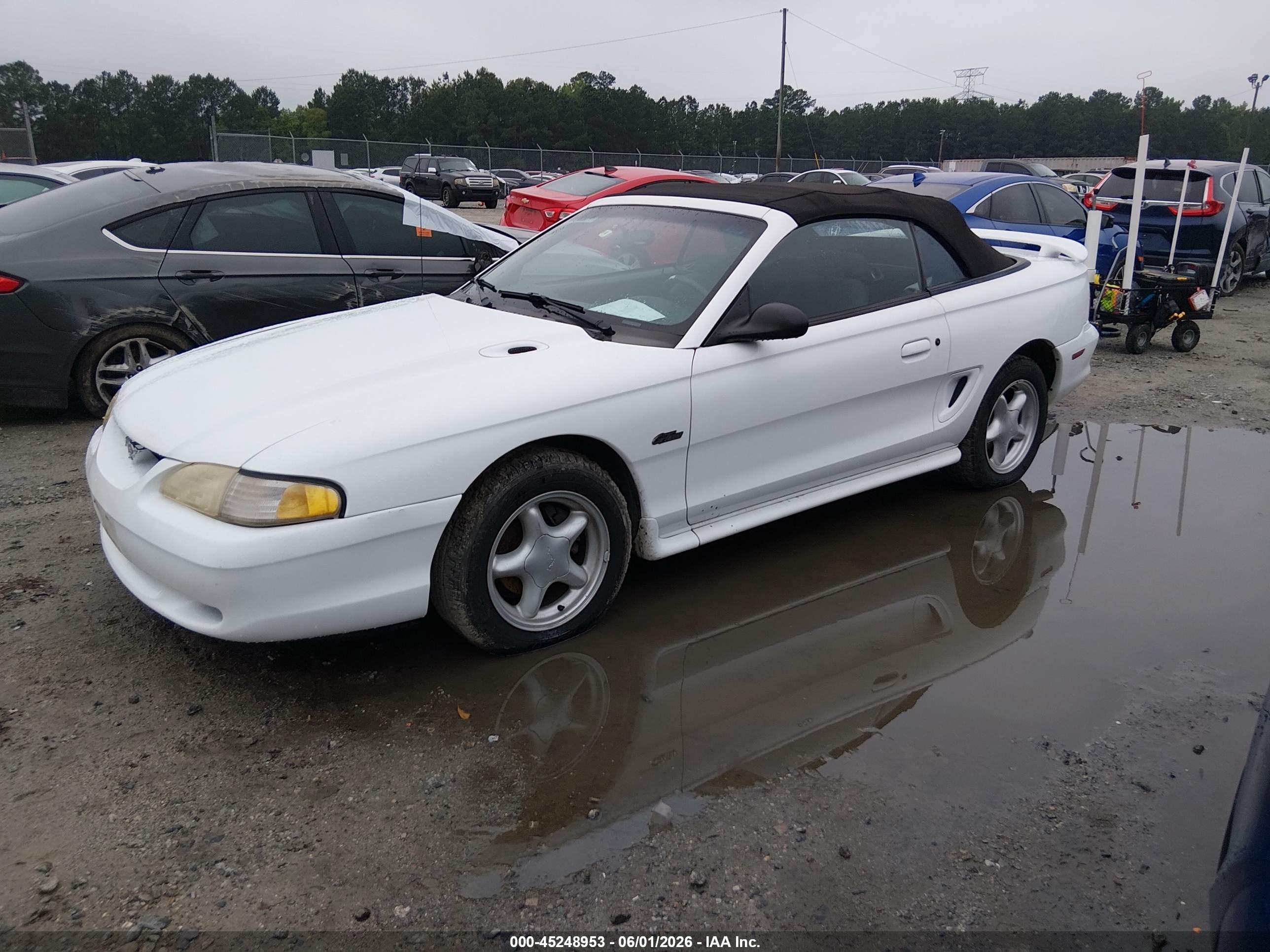 1998 Ford Mustang Gt White vin: 1FAFP45X8WF186983