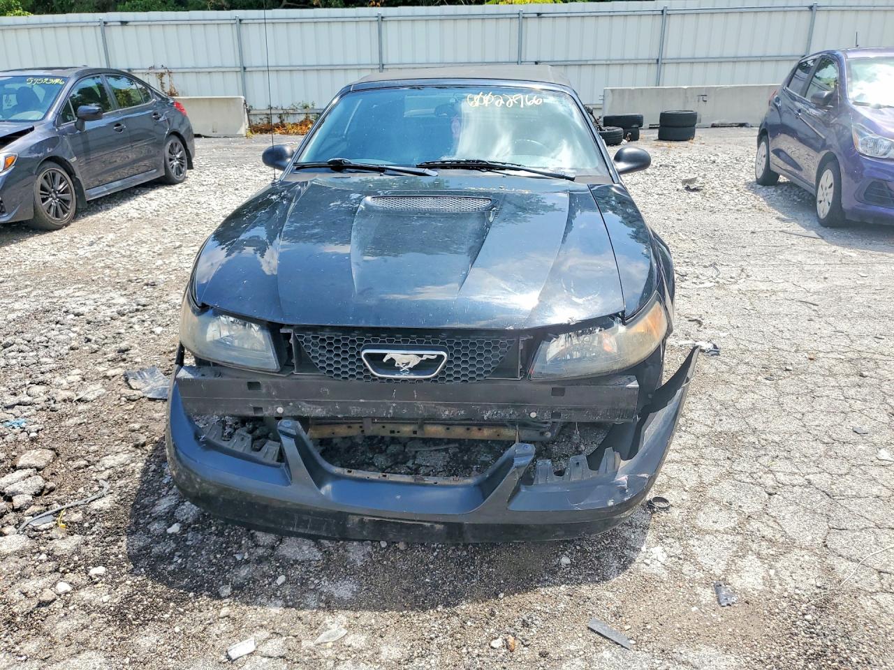 1999 Ford Mustang Gt Black vin: 1FAFP45X8XF230157